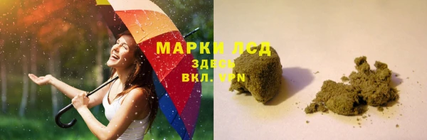 ПСИЛОЦИБИНОВЫЕ ГРИБЫ Верхний Тагил