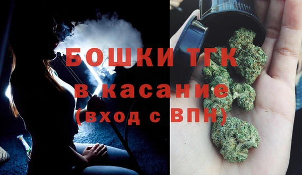 ПСИЛОЦИБИНОВЫЕ ГРИБЫ Верхний Тагил