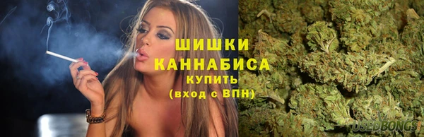 ПСИЛОЦИБИНОВЫЕ ГРИБЫ Верхний Тагил