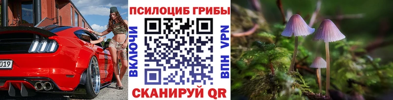 Галлюциногенные грибы MAGIC MUSHROOMS  KRAKEN сайт  Новое Девяткино  купить закладку 